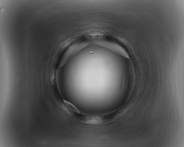 X0000086730288200704201652