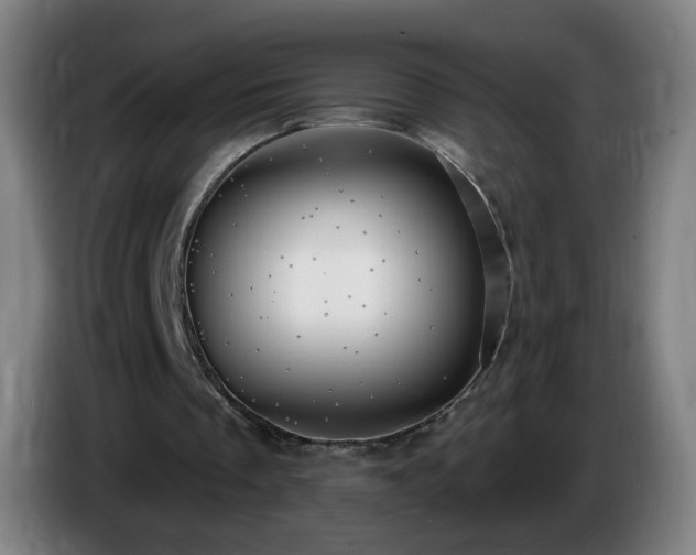 X0000086730289200704201651