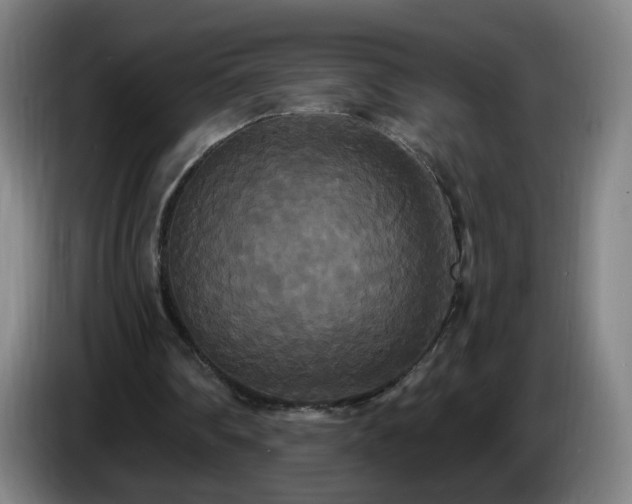 X0000086730290200704201651