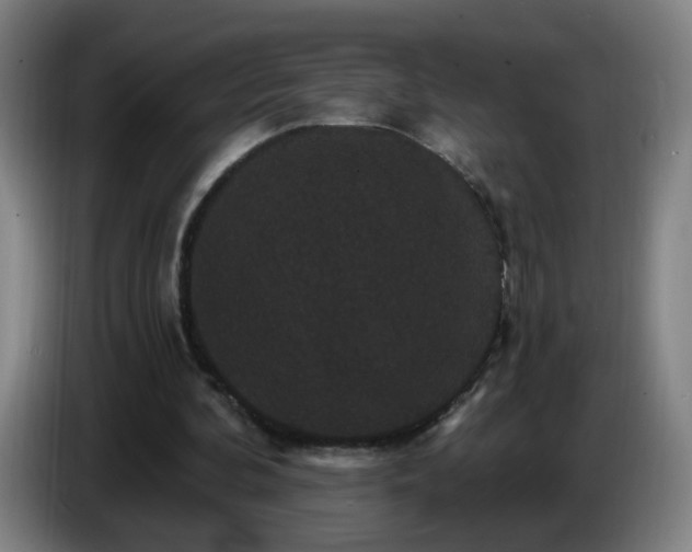 X0000086730292200704201651