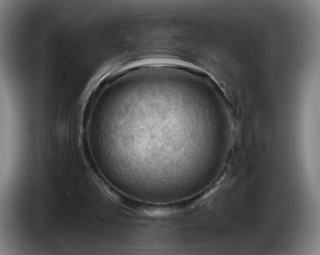 X0000086730293200704201651