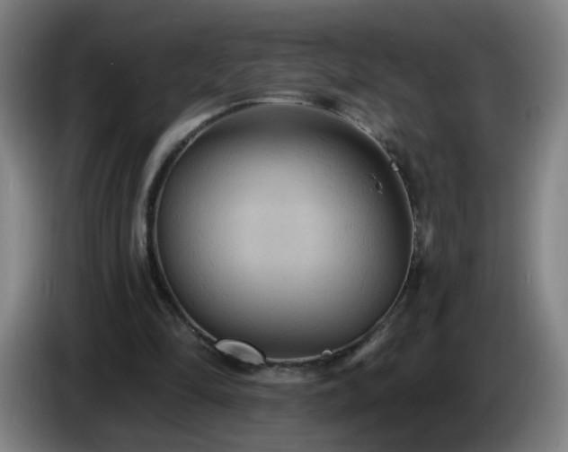 X0000086730294200704201651