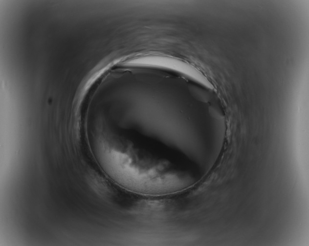 X0000086730295200704201651