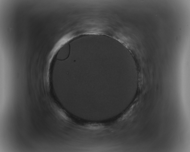 X0000086730296200704201651