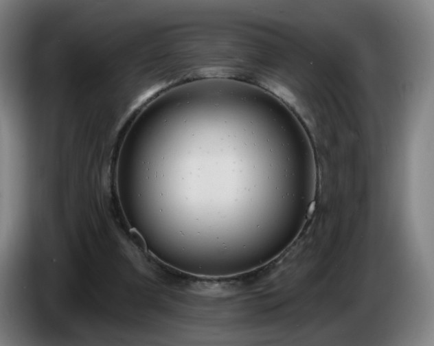 X0000086730297200704201651