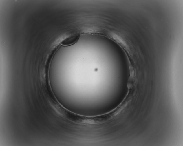 X0000086730298200704201651