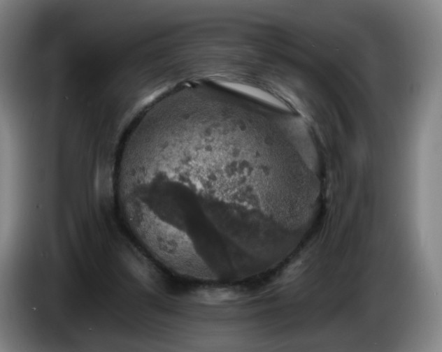 X0000086730299200704201651