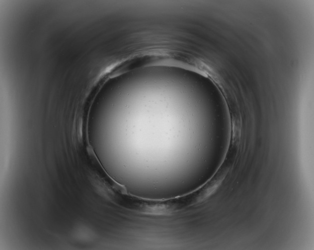 X0000086730301200704201651