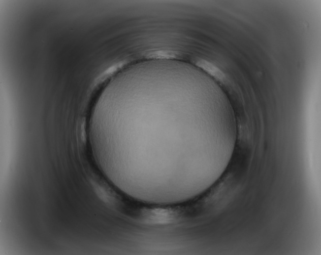 X0000086730302200704201651