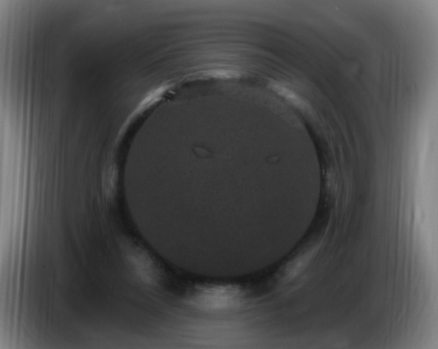 X0000086730304200704201651