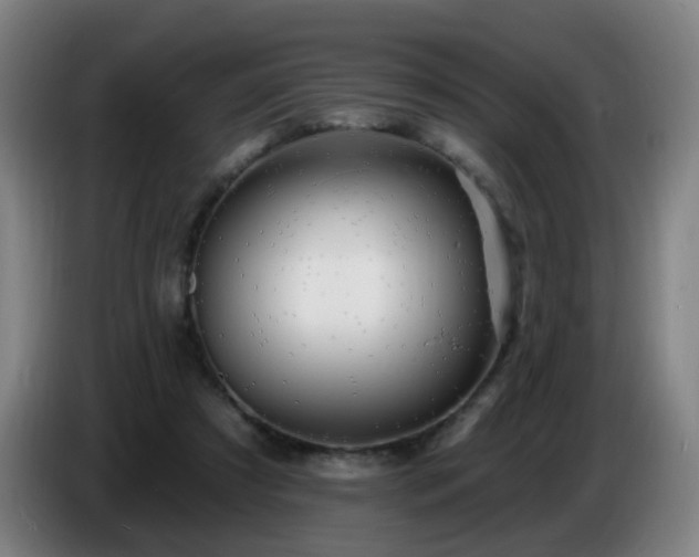 X0000086730305200704201651