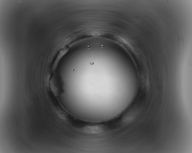 X0000086730307200704201651