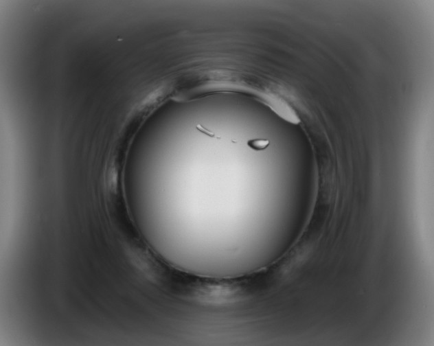 X0000086730310200704201651