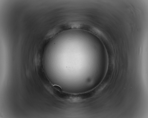 X0000086730311200704201651