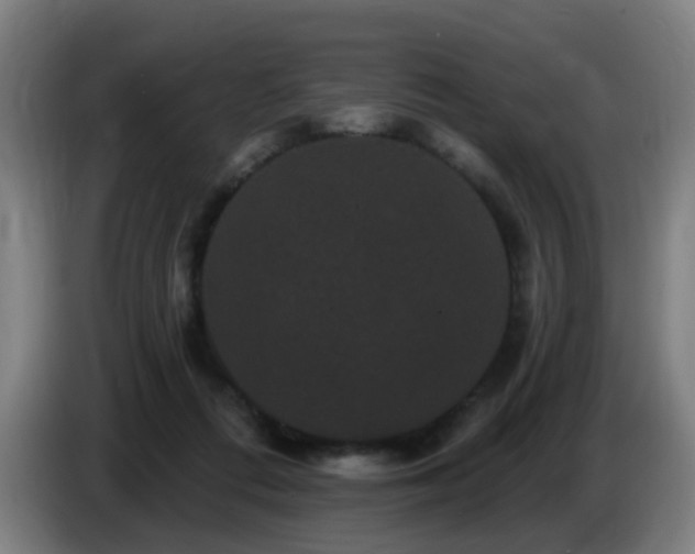 X0000086730312200704201651