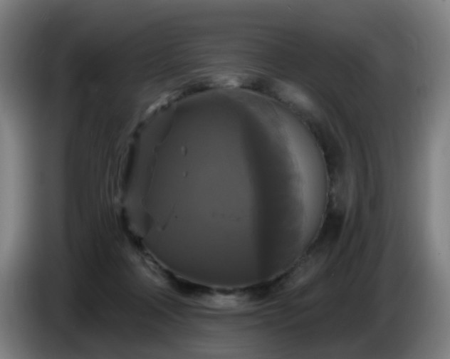 X0000086730314200704201651