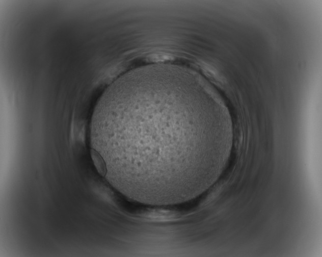 X0000086730315200704201651