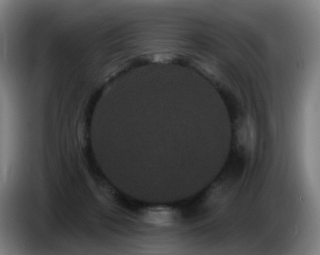 X0000086730316200704201651