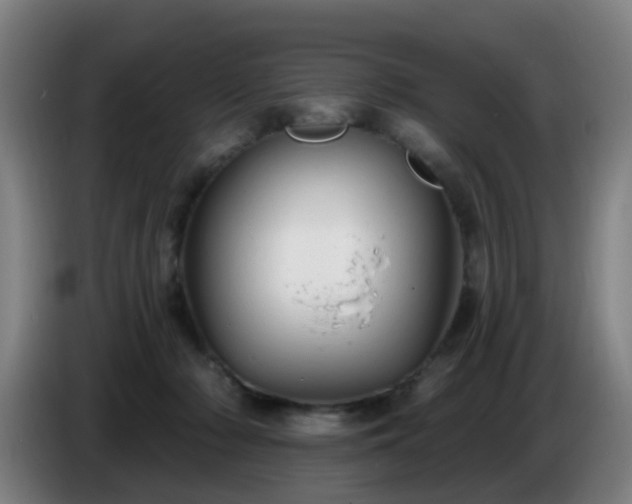 X0000086730318200704201651