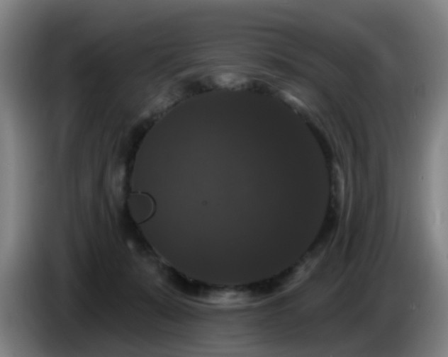 X0000086730319200704201651