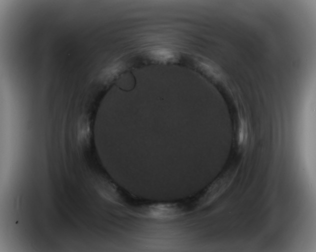 X0000086730320200704201651