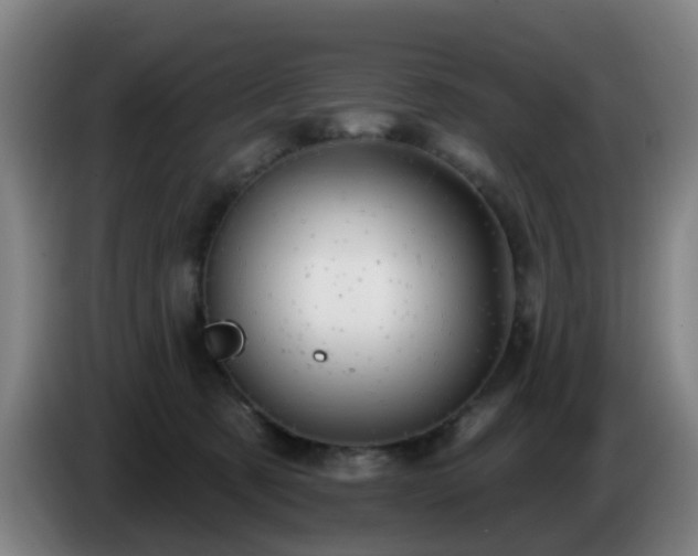 X0000086730321200704201651