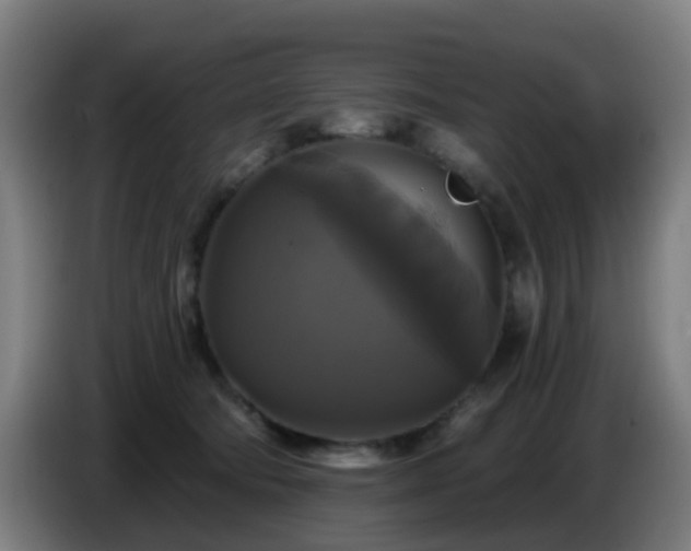 X0000086730322200704201651