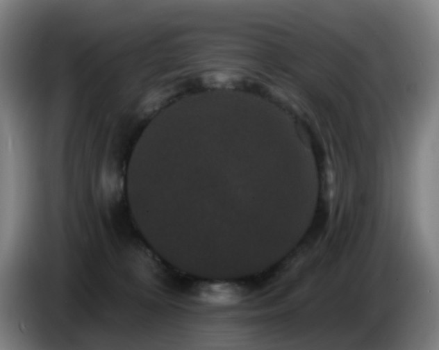 X0000086730324200704201651