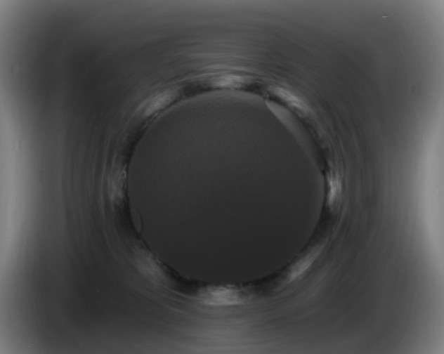 X0000086730325200704201651