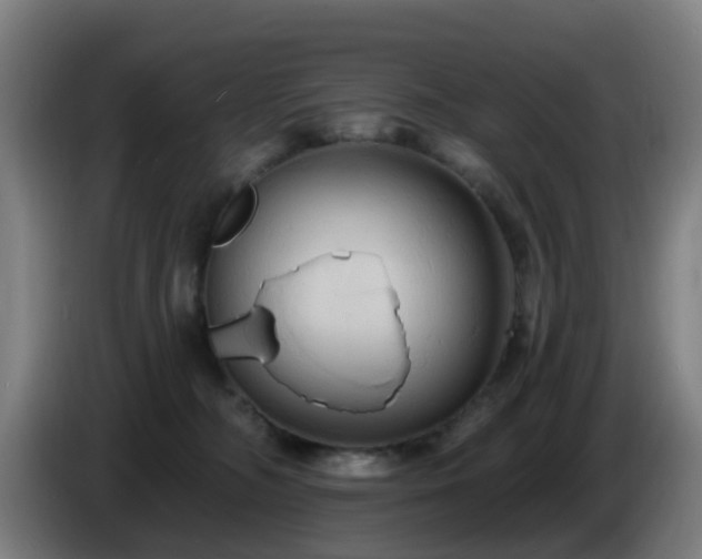 X0000086730326200704201651