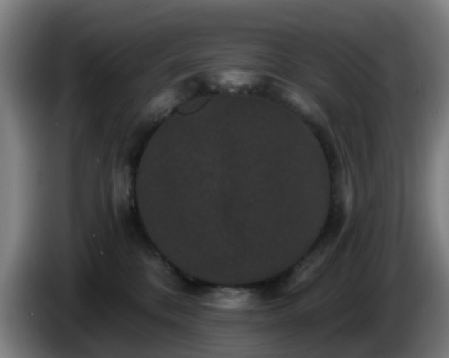 X0000086730328200704201651