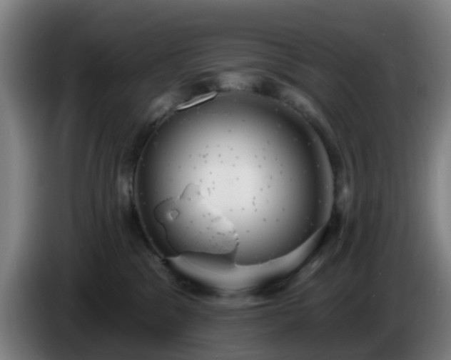 X0000086730329200704201651