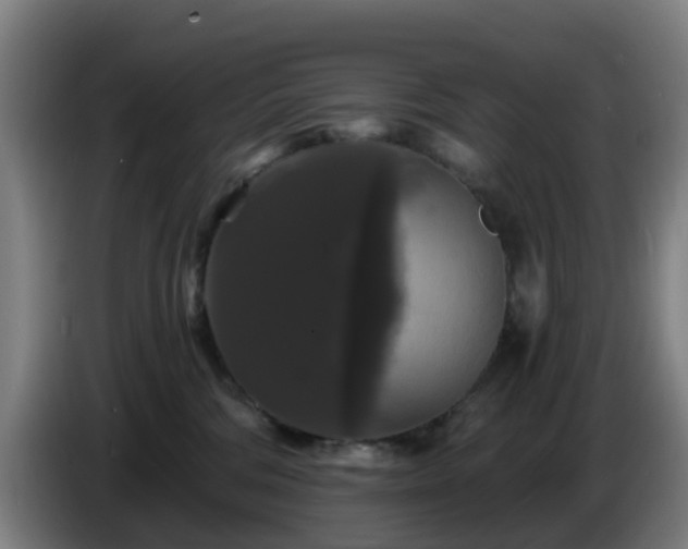 X0000086730330200704201651