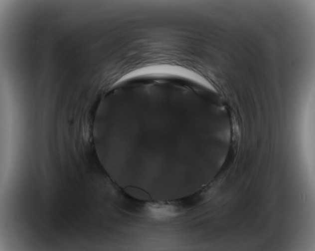 X0000086730331200704201651