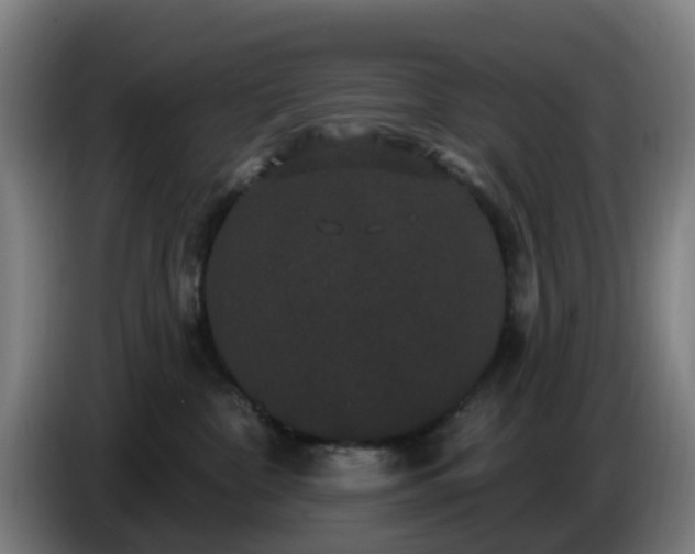 X0000086730332200704201651