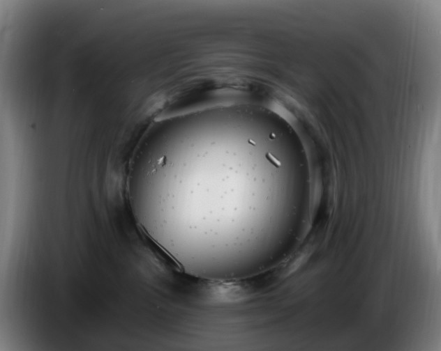 X0000086730333200704201651