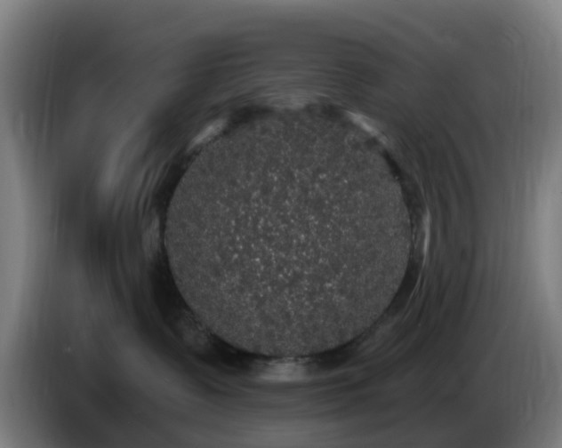 X0000086730335200704201651