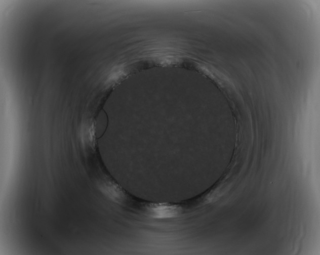 X0000086730336200704201651