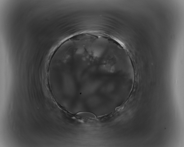 X0000086730337200704201650