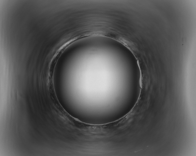 X0000086730338200704201650