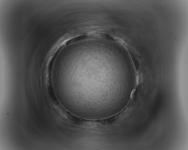 X0000086730339200704201650