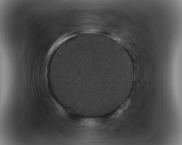 X0000086730341200704201650