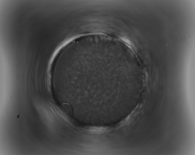 X0000086730342200704201650