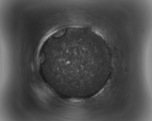 X0000086730343200704201650