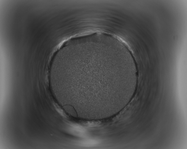 X0000086730345200704201650