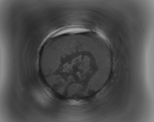 X0000086730346200704201650