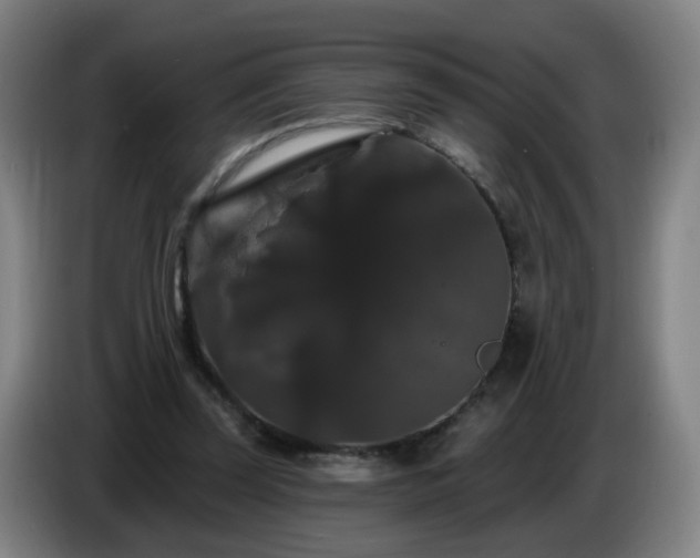 X0000086730347200704201650