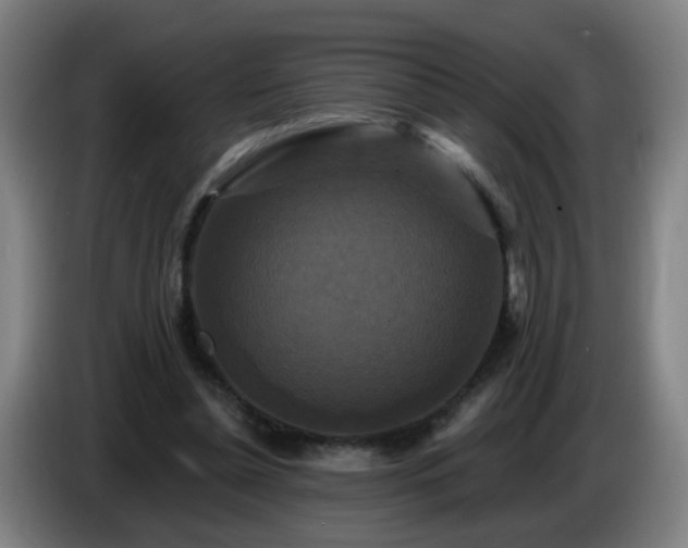 X0000086730348200704201650