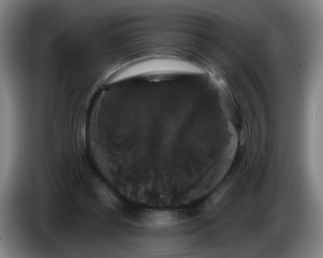 X0000086730349200704201650