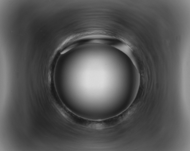 X0000086730350200704201650